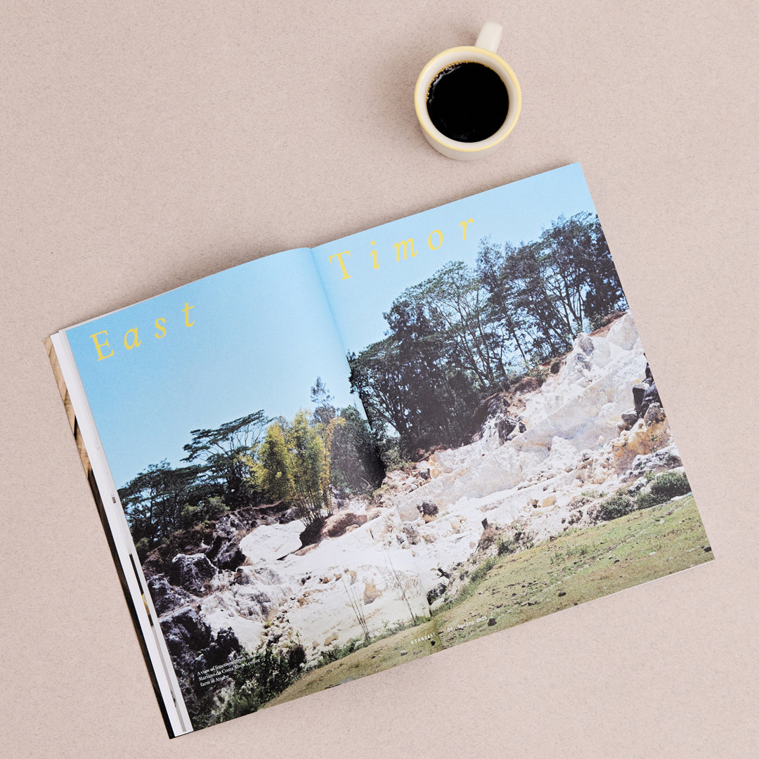 Standart Issue 38: Spick, Span & Coffee
