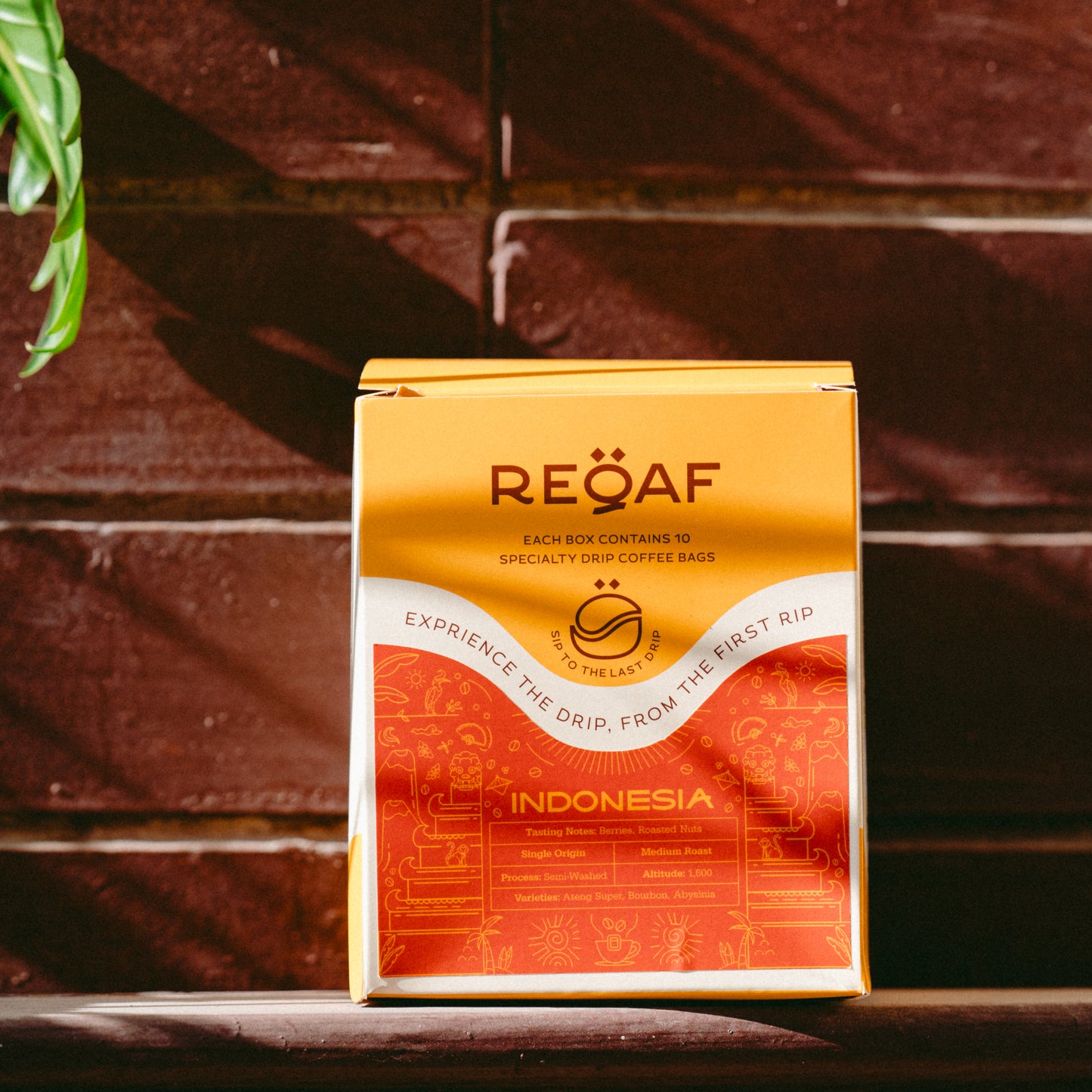 Indonesia Drip Bag