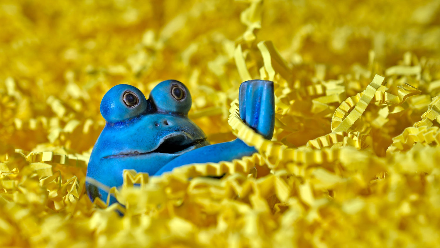 Acrylic-Blue-Frog-Yellow-Background-For-Sustainability