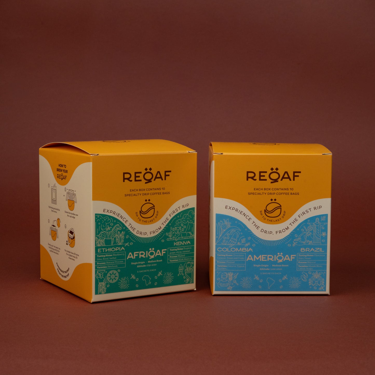 Continental Pair – AmeriQaf & AfriQaf